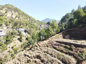 The Breeze Homestay - Image 5