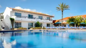 LD Palm Beach - Image 3