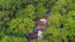Qingfeng Yashe Hotel - Image 5