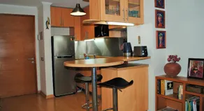Studio Apartment En Providencia - Image 5
