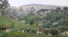 Ansi Villa - Image 5
