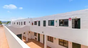 Bella Vista - Cactus - Image 2