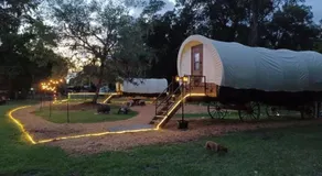 Luxury Covered Wagon, Rooterville Animal Sanctuary - Image 3