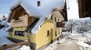 Farmhouse pri Miklavu - Image 2