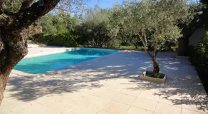 Les Olives - Image 5