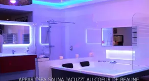 Appart' Spa et Sauna Privatif Au Cœur De Beaune - Image 2