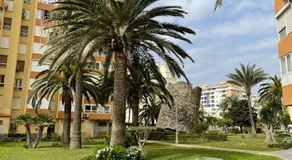 Las Palmeras - Image 3