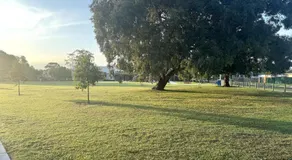 Welcome to The Roy - Family home close to airport and train! - Image 3