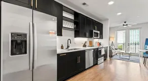 1BD in the Heart of Tampa Luxury Travel Gym - Image 4