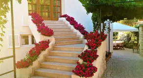 Apartmani Natalija 1 - Image 4