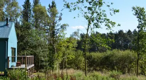 Mertrick - Image 5
