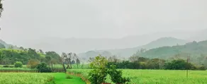 Green Meadows Farm Stay - Image 4