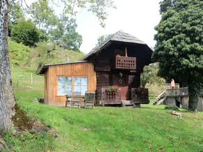 Cozy Holiday Home in Leibenfels with Barbecue - Image 4