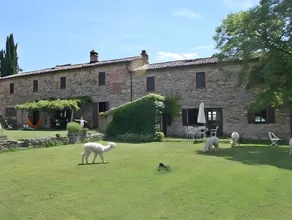 Maridiana Alpaca Country House - Image 4