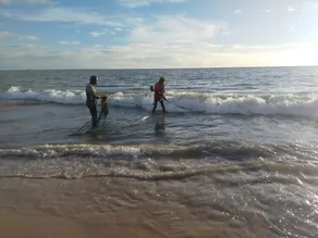 Marari Blessing beachfront homestay - Image 3