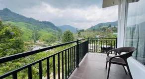 Dream Stay Green - Image 2