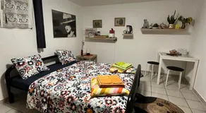 Le palme - Image 2
