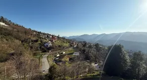 Il Filo di Arianna 2 - Image 4