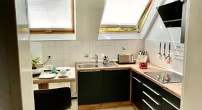 -Am Pfühlpark- Ferienwohnung - Image 4