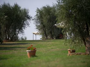 Bondegård med fælles pool blandt vingårde og olivenlunde - Image 2