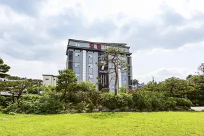 Yeoju Seven (Seven 7) - Image 3