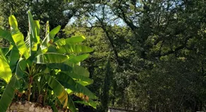 Une pause au milieu des bois - Image 5