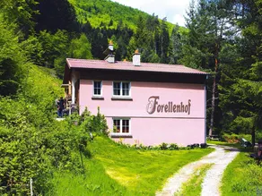 Apartment in a charming location on Forellenhof, Zorn Valley, Dabo - Image 2