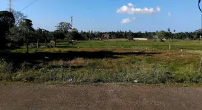 Mahishe Cottage - Image 3
