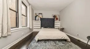 2 BR Apt Near U Chicago Campus & the Lakefront! - Image 1