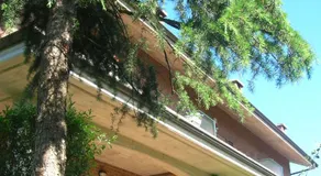B&B Anna - Image 5