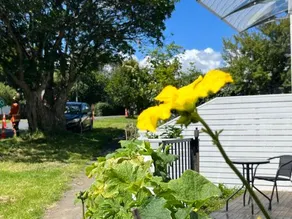Modern Private Studio Auckland-Private Entrance-Free Parking-Near CBD - Image 5