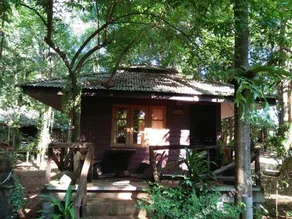 Jungle Bay Resort - Image 4