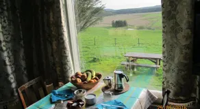 The old farm - Image 2
