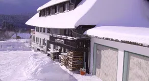 Pension Wiesengrund - Image 2