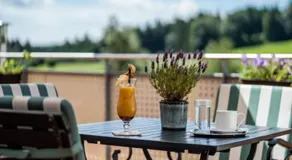 Vivea Hotel Bad Traunstein - Image 5