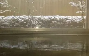 Kyuden Ryokan - Image 2