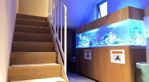 Hotel Matoma - Image 3