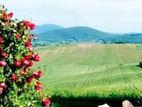 Agriturismo Tenuta Di Mensanello - Image 2