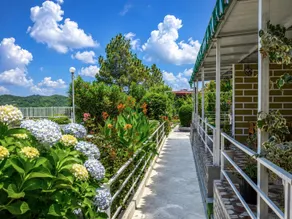 Five Hill Cottage, Mukteshwar - Image 5