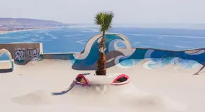 Orca Surf Nature - Image 4