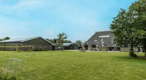 Duintentje - Image 2