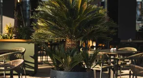 Laid Hotel - Image 4