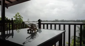 Sapara River Guest - Image 2