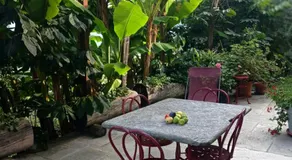 Una casa tra gli alberi - Image 5