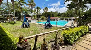 El Palmar - Image 4