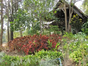 Rai Aeifoon Resort - Image 4