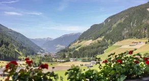 Unterlacherhof Ahrntal - Image 2
