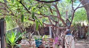 Akki's Hostel - Image 5
