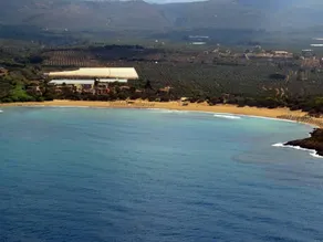 Seaview flat in an olive grove by the sandy beach - Image 5