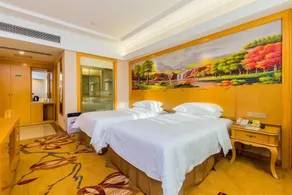 Vienna Hotel Guangdong Meizhou Fengshun - Image 5